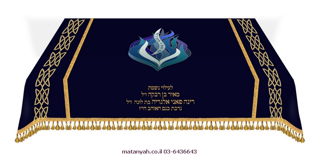 כיסוי לתיבה להבה מודרנית - מתניה - בונים בית לקהילה שלכם