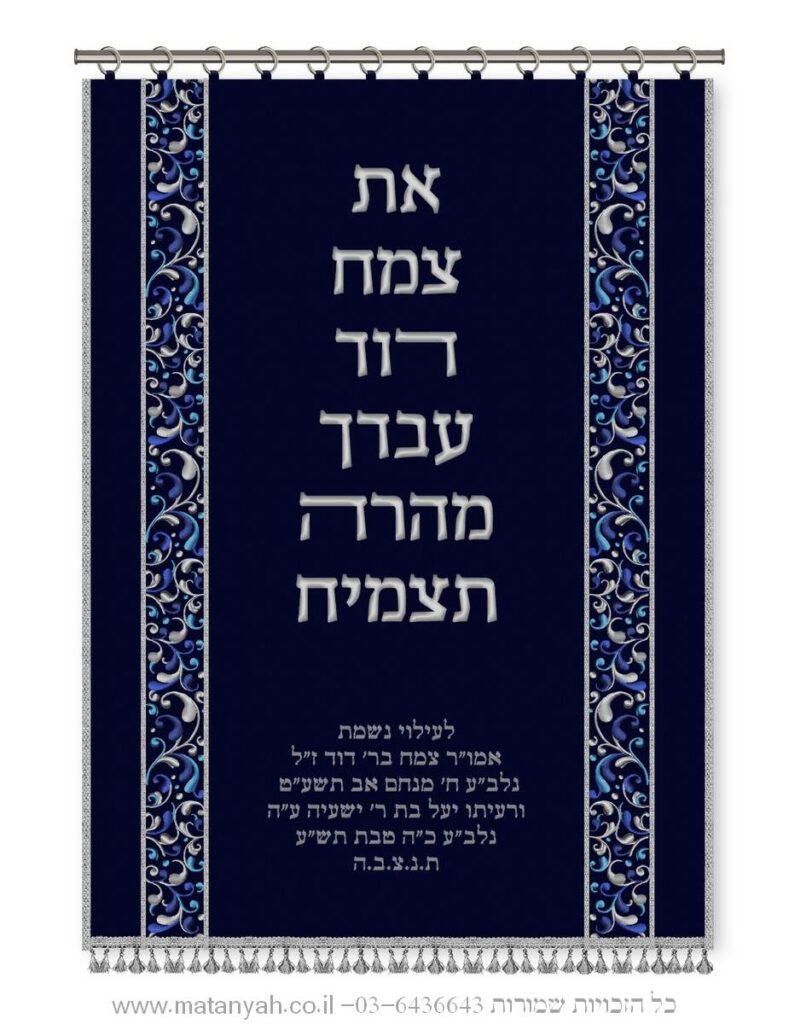 פרוכת עיטורים את צמח דוד
