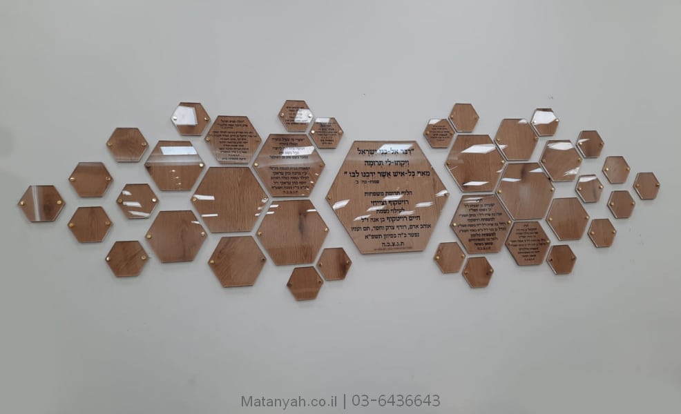 לוח תורמים מניפת משושים