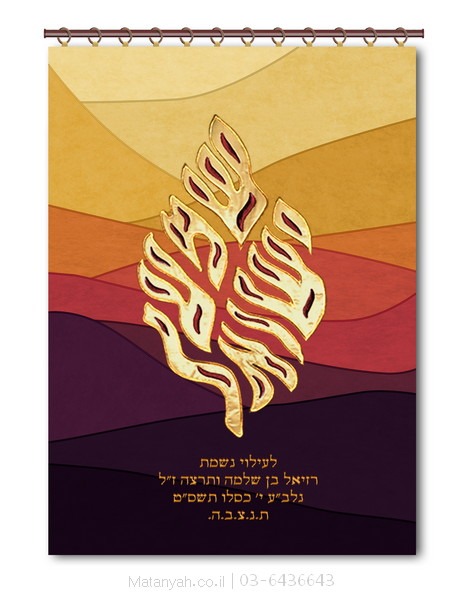 פרוכת להבה שמע רקיע שקיעה - מתניה - בונים בית לקהילה שלכם