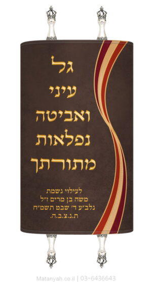 מעיל לספר תורה גל עיני זהב