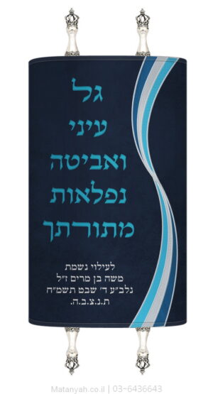 מעיל לספר תורה גל עיני כסף
