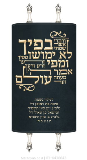 מעיל לספר תורה טיפוגרפיה ודברי כחול