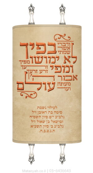 מעיל לספר תורה טיפוגרפיה ודברי קרם