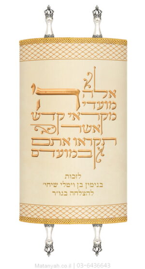 מעיל לספר תורה טיפוגרפיה וורשת זהב