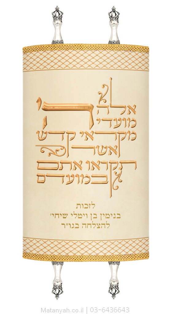 מעיל לספר תורה טיפוגרפיה וורשת זהב מעיל לספר תורה טיפוגרפיה וורשת זהב