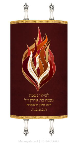 מעיל לספר תורה להבה מודרני בורדו