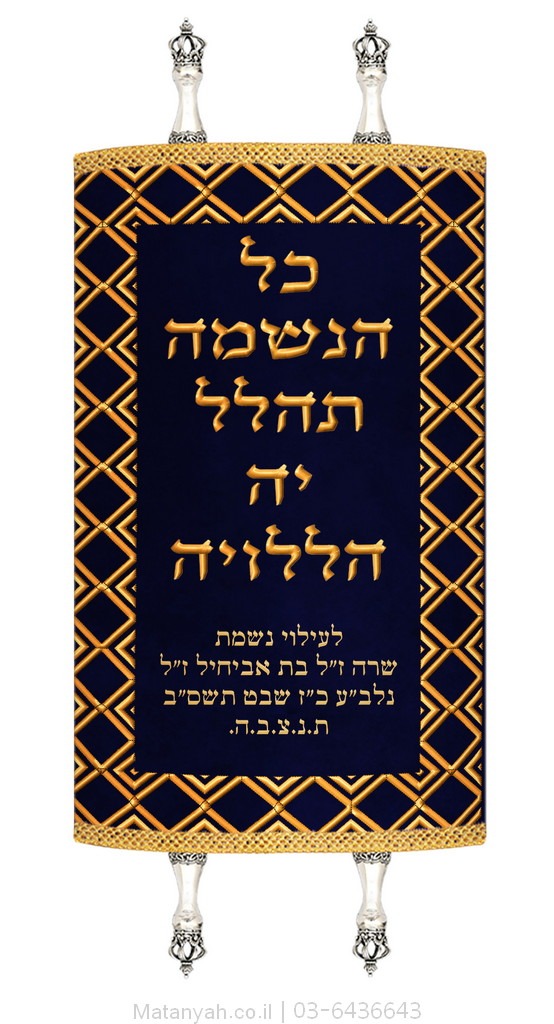 מעיל לספר תורה מסגרת מעוינים כחול מעיל לספר תורה מסגרת מעוינים כחול