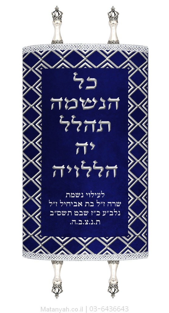 מעיל לספר תורה מסגרת מעוינים כסף מעיל לספר תורה מסגרת מעוינים כסף