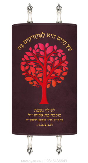 מעיל לספר תורה עץ מודרני אדום 1