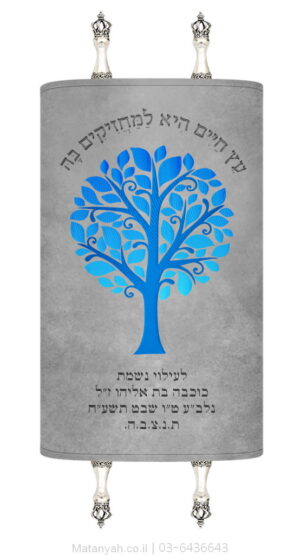 מעיל לספר תורה עץ מודרני כחול