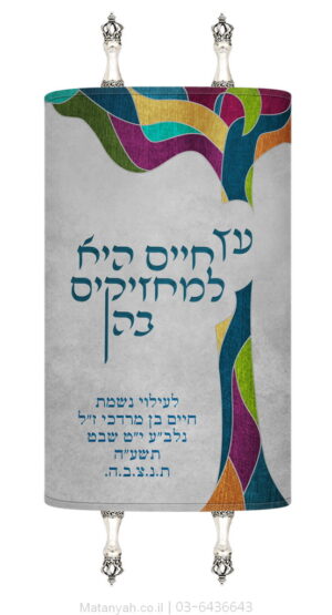 מעיל לספר תורה עץ מודרני צבעוני
