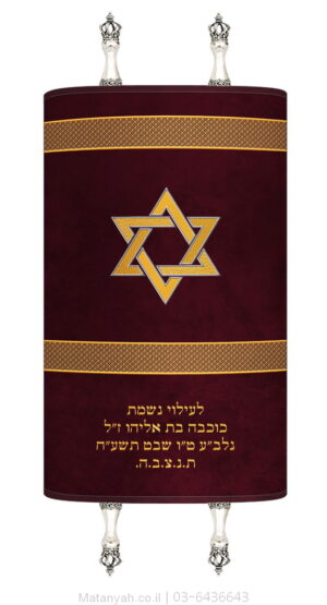 Torah Cover with Stripes and Magen David