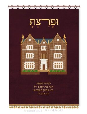 פרוכת ארון קודש מבית מתניה עם רקמה איכותית ואומנותית תלת‑ממדית