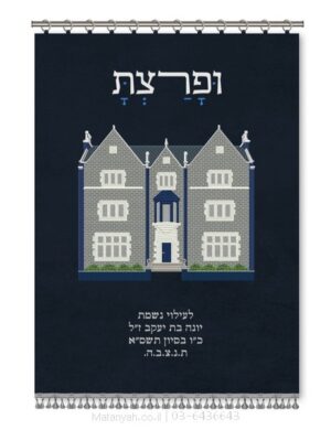 פרוכת ארון קודש מבית מתניה עם רקמה איכותית ואומנותית תלת‑ממדית