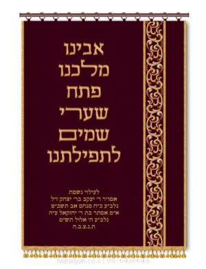פרוכת ארון קודש מבית מתניה עם רקמה איכותית ואומנותית תלת‑ממדית
