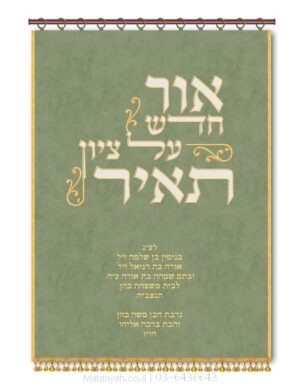 פרוכת ארון קודש מבית מתניה עם רקמה איכותית ואומנותית תלת‑ממדית