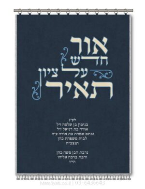 פרוכת ארון קודש מבית מתניה עם רקמה איכותית ואומנותית תלת‑ממדית
