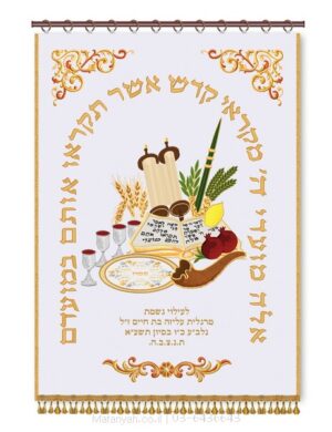פרוכת ארון קודש מבית מתניה עם רקמה איכותית ואומנותית תלת‑ממדית