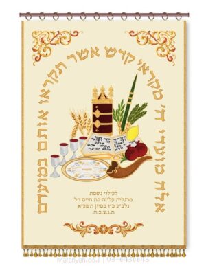 פרוכת ארון קודש מבית מתניה עם רקמה איכותית ואומנותית תלת‑ממדית