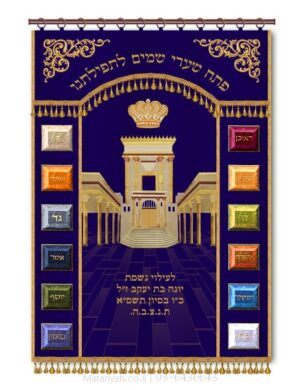 פרוכת ארון קודש מבית מתניה עם רקמה איכותית ואומנותית תלת‑ממדית