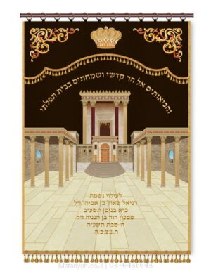 פרוכת ארון קודש מבית מתניה עם רקמה איכותית ואומנותית תלת‑ממדית