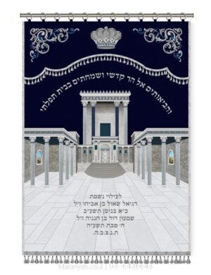 פרוכת ארון קודש מבית מתניה עם רקמה איכותית ואומנותית תלת‑ממדית