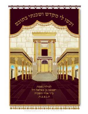 פרוכת ארון קודש מבית מתניה עם רקמה איכותית ואומנותית תלת‑ממדית