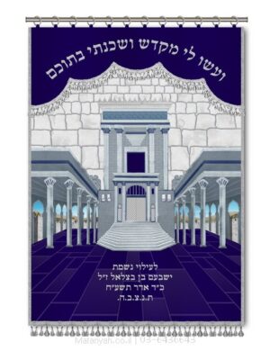 פרוכת ארון קודש מבית מתניה עם רקמה איכותית ואומנותית תלת‑ממדית
