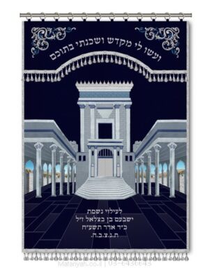 פרוכת ארון קודש מבית מתניה עם רקמה איכותית ואומנותית תלת‑ממדית