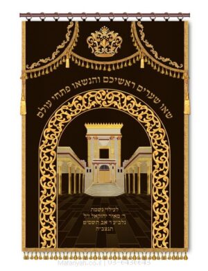 פרוכת ארון קודש מבית מתניה עם רקמה איכותית ואומנותית תלת‑ממדית