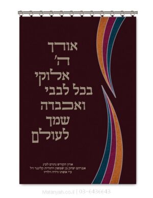 פרוכת ארון קודש מבית מתניה עם רקמה איכותית ואומנותית תלת‑ממדית