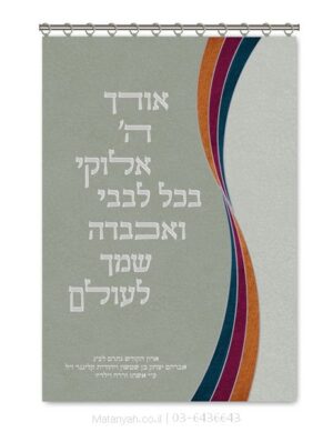 פרוכת ארון קודש מבית מתניה עם רקמה איכותית ואומנותית תלת‑ממדית