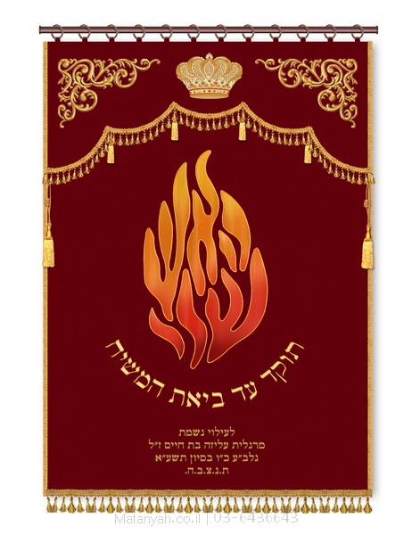 פרוכת ארון קודש מבית מתניה עם רקמה איכותית ואומנותית תלת‑ממדית