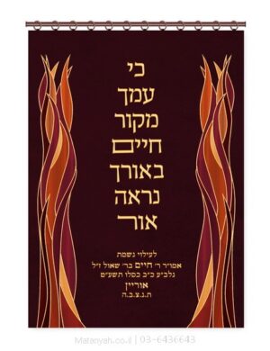 פרוכת ארון קודש מבית מתניה עם רקמה איכותית ואומנותית תלת‑ממדית