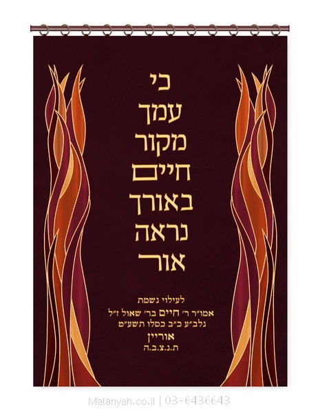 פרוכת הללויה אדום קלאסי פרוכת ארון קודש מבית מתניה עם רקמה איכותית ואומנותית תלת‑ממדית