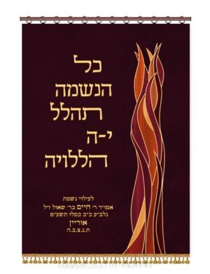 פרוכת ארון קודש מבית מתניה עם רקמה איכותית ואומנותית תלת‑ממדית