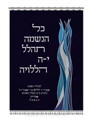 פרוכת ארון קודש מבית מתניה עם רקמה איכותית ואומנותית תלת‑ממדית