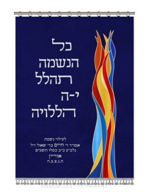 פרוכת ארון קודש מבית מתניה עם רקמה איכותית ואומנותית תלת‑ממדית