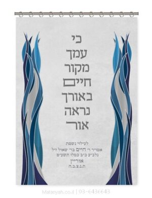 פרוכת ארון קודש מבית מתניה עם רקמה איכותית ואומנותית תלת‑ממדית