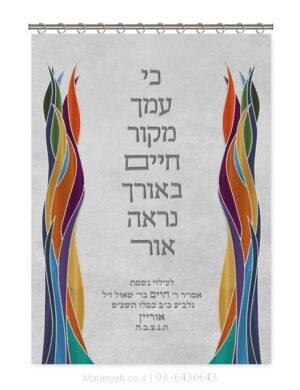 פרוכת ארון קודש מבית מתניה עם רקמה איכותית ואומנותית תלת‑ממדית