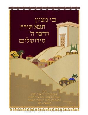 פרוכת ארון קודש מבית מתניה עם רקמה איכותית ואומנותית תלת‑ממדית