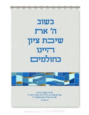 פרוכת ארון קודש מבית מתניה עם רקמה איכותית ואומנותית תלת‑ממדית