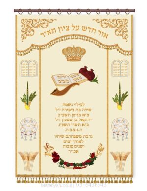 פרוכת ארון קודש מבית מתניה עם רקמה איכותית ואומנותית תלת‑ממדית