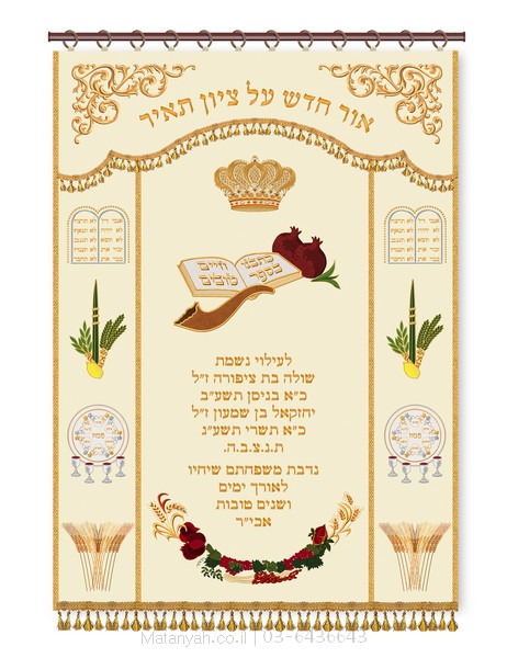 פרוכת ארון קודש מבית מתניה עם רקמה איכותית ואומנותית תלת‑ממדית