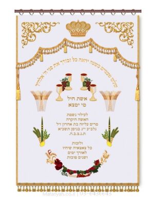 פרוכת ארון קודש מבית מתניה עם רקמה איכותית ואומנותית תלת‑ממדית