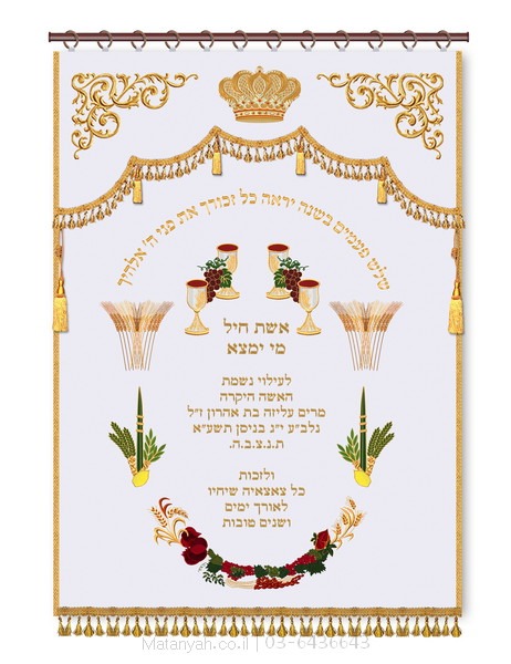 פרוכת חגים אלמנטים לבן פרוכת ארון קודש מבית מתניה עם רקמה איכותית ואומנותית תלת‑ממדית