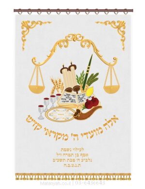 פרוכת ארון קודש מבית מתניה עם רקמה איכותית ואומנותית תלת‑ממדית