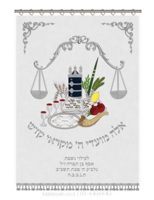 פרוכת ארון קודש מבית מתניה עם רקמה איכותית ואומנותית תלת‑ממדית