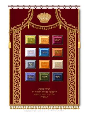 פרוכת ארון קודש מבית מתניה עם רקמה איכותית ואומנותית תלת‑ממדית